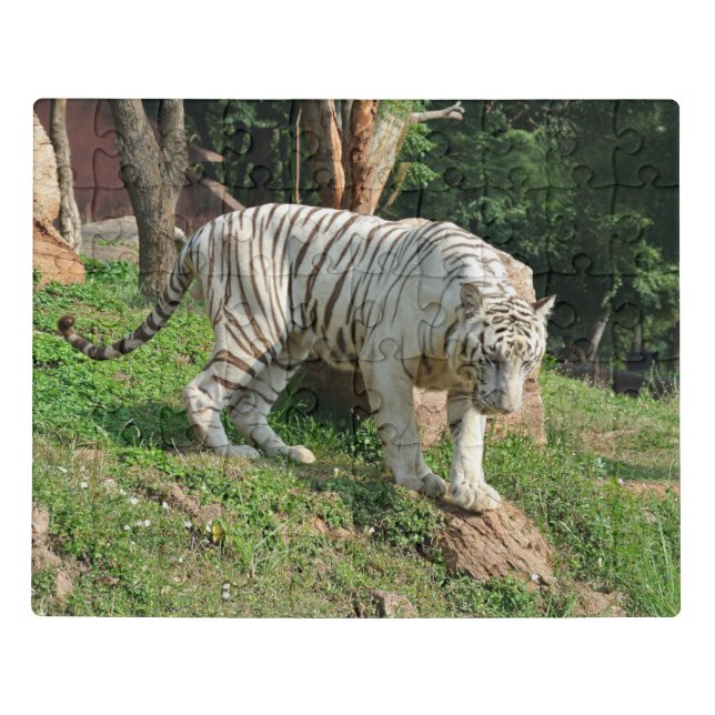 White Tiger Jigsaw Puzzle (Puzzle Horizontal)