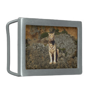 White Tiger Lookout, Belt Buckle