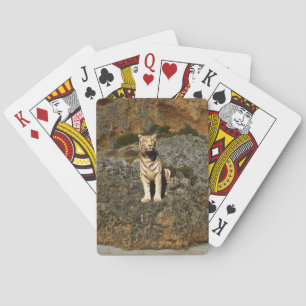 White Tiger Lookout, Poker Cards