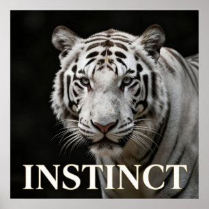 White Tiger Luxury Fashion Poster