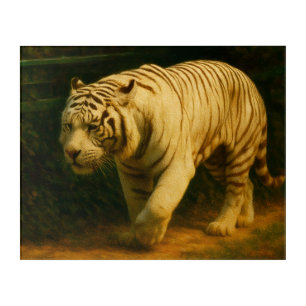 White Tiger Majesty – Stylized Wildlife Art Print