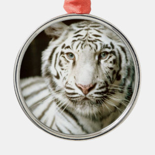 White Tiger Metal Ornament