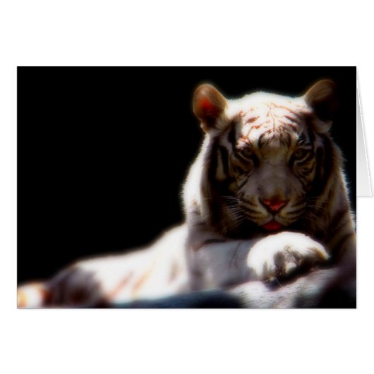 White Tiger Mirage Cards (Front Horizontal)