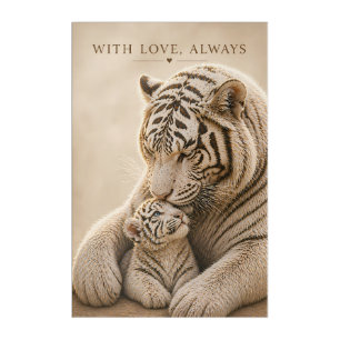 White Tiger Mother and Cub Card – With Love, Alway Acrylic Print