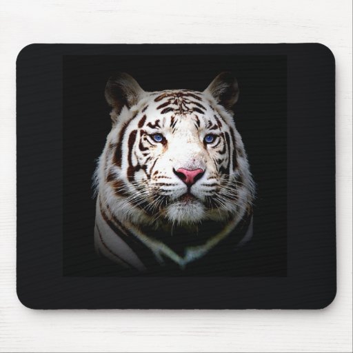 White Tiger Mouse Pad | Zazzle