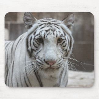White Tiger mousepad