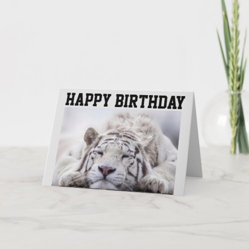 WHITE TIGER NAP EAT CAKE BIRTHDAY CARD