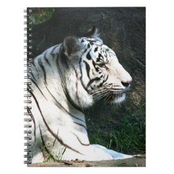 White Tiger Notebook by deemac1 at Zazzle