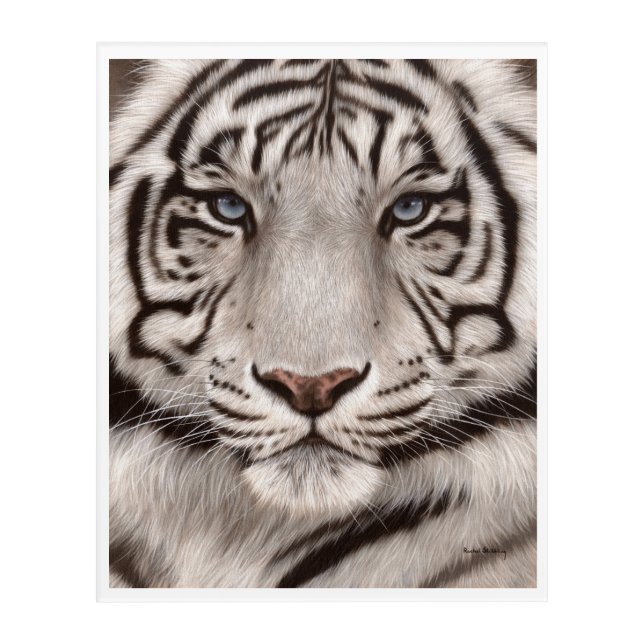 White Tiger Painting Acrylic Print (Front)