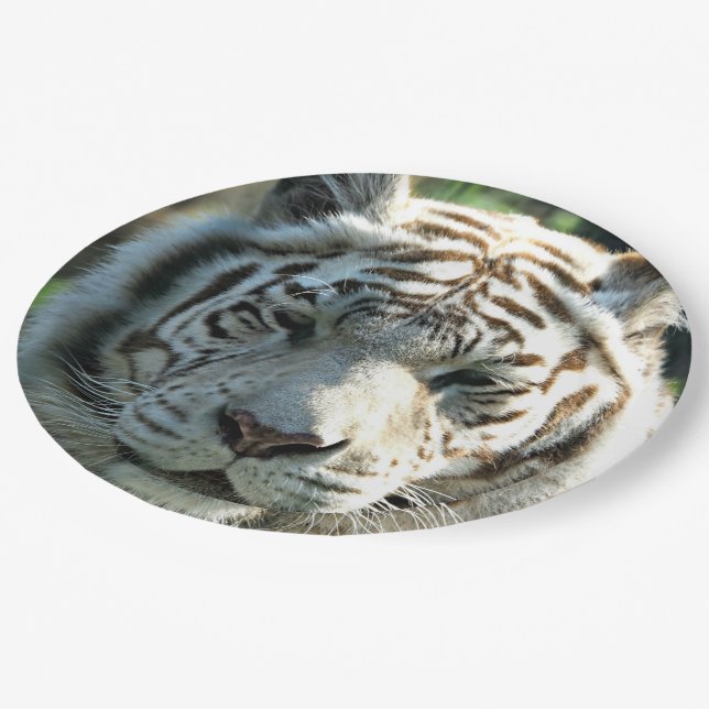 White Tiger Paper Plates (Angled)