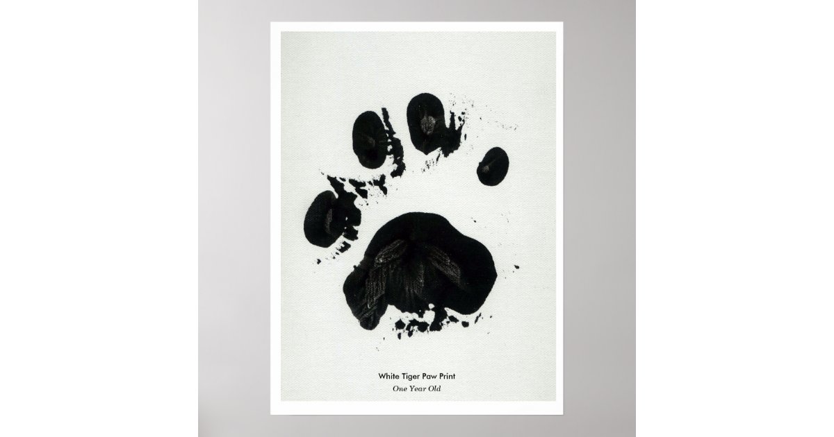 black and white tiger paw print