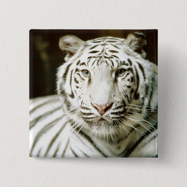 White Tiger Pinback Button (Front)