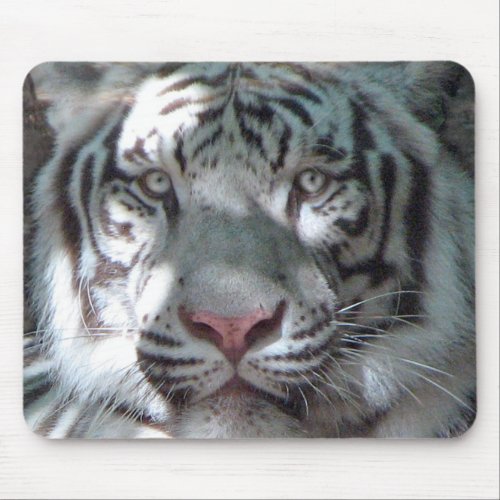 White Tiger Portrait Mouse Pad