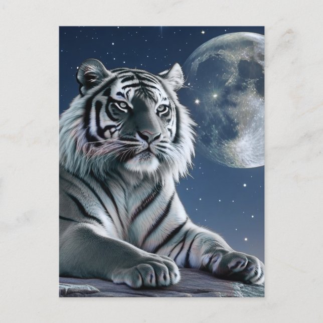 White tiger postcard (Front)