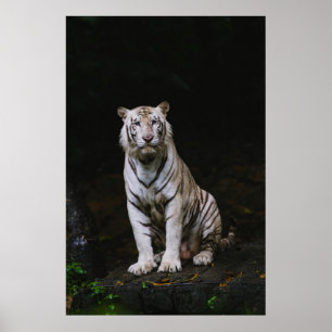 WHITE TIGER POSTER