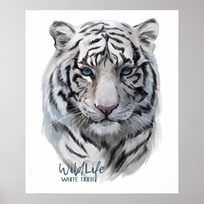 White Tiger Poster | Zazzle.com