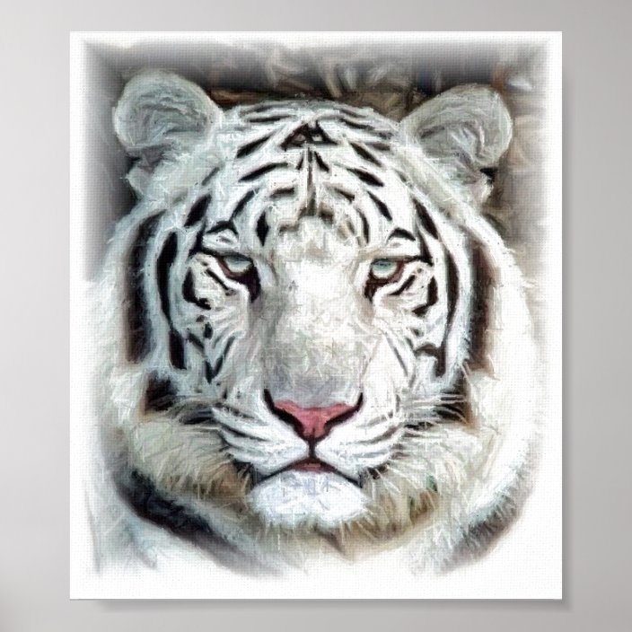 White Tiger Poster Zazzle Com