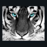 White Tiger Poster Eyes<br><div class="desc">tiger</div>