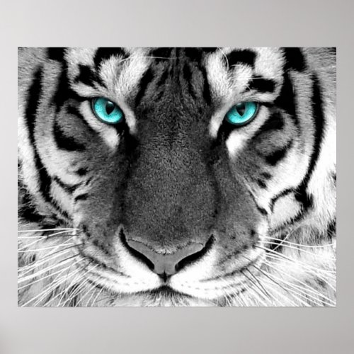 White Tiger Poster Eyes