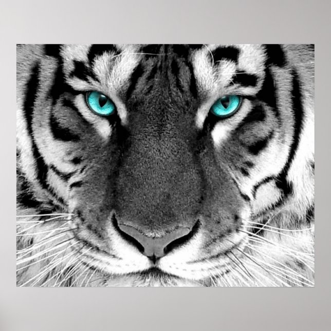 White Tiger Poster Eyes (Front)