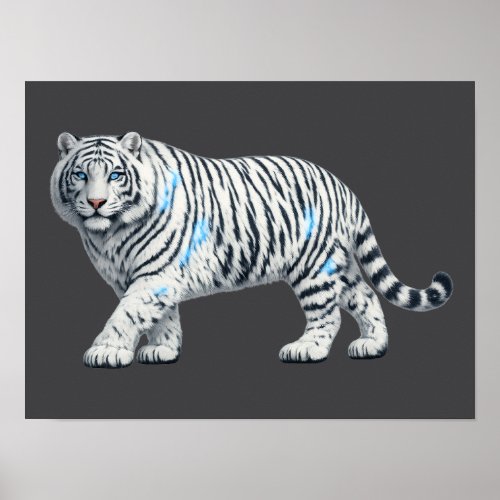 White Tiger Poster Print or Digital Download Art