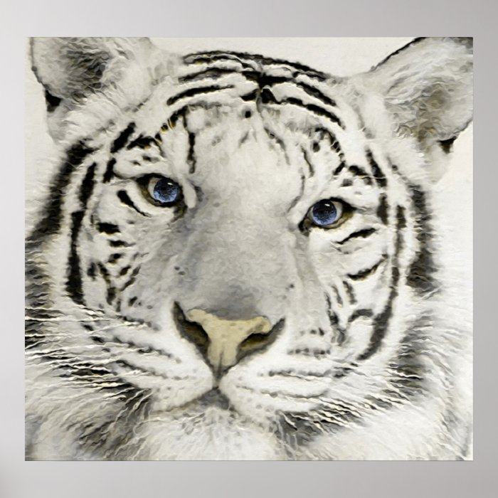 White Tiger Posters