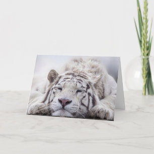 WHITE TIGER RELAXING BIRTHDAY CARD