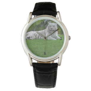 White Tiger Resting in Sunlit Greenery Watch