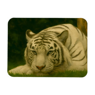 White Tiger Resting in Woodland Shade Magnet