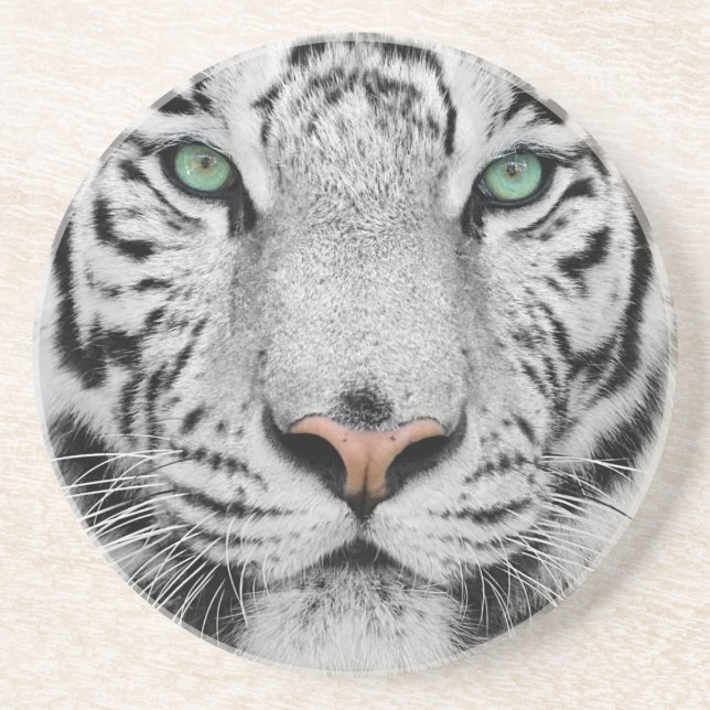 White Tiger Sandstone Coaster (Front)