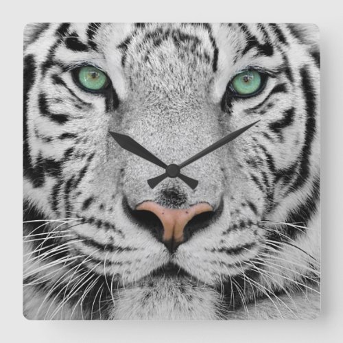 White Tiger Square Wall Clock