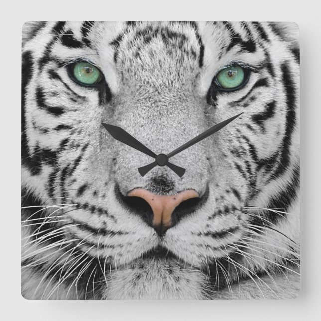 White Tiger Square Wall Clock (Front)