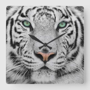 White Tiger Square Wall Clock