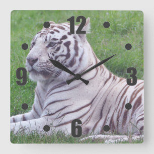 White Tiger Square Wall Clock