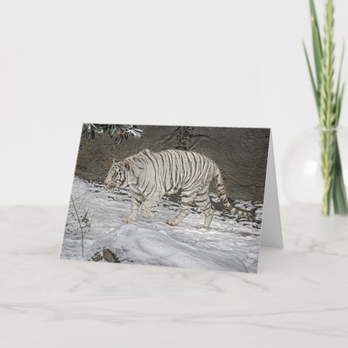White Tiger Stalking in Snow Holiday Card