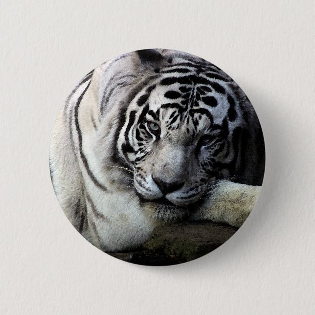 White Tiger Stare Pinback Button (Front)