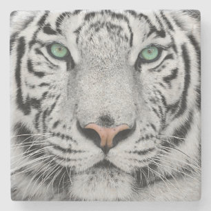 White Tiger Stone Coaster