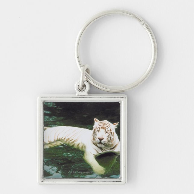 White Tiger Swimming Peacefully Keychain (Front)