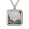 White Tiger  "The Swim"