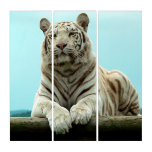 White Tiger Triptych