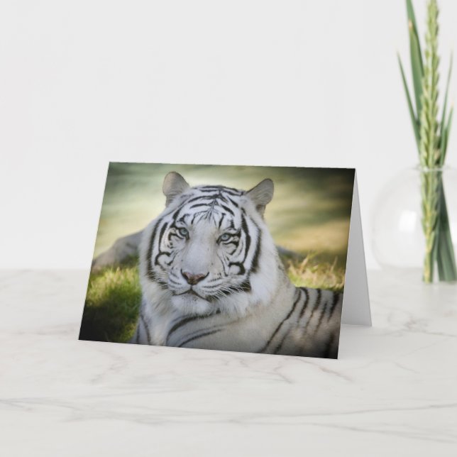 White Tiger (v2) Greeting Card Personalize (Front)