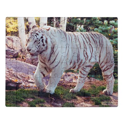 White Tiger Walking - Jigsaw Puzzle