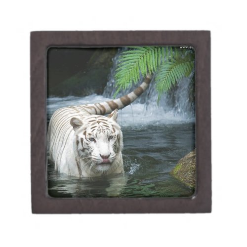 White Tiger Water Keepsake Box