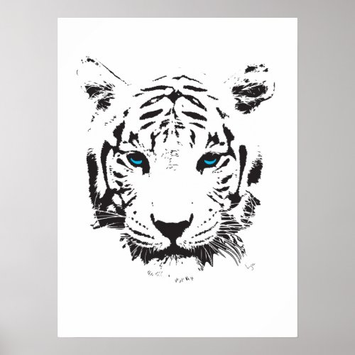 White Tiger with Blue Eyes Poster