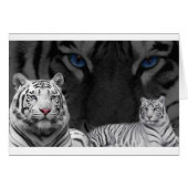 White Tigers (Front Horizontal)