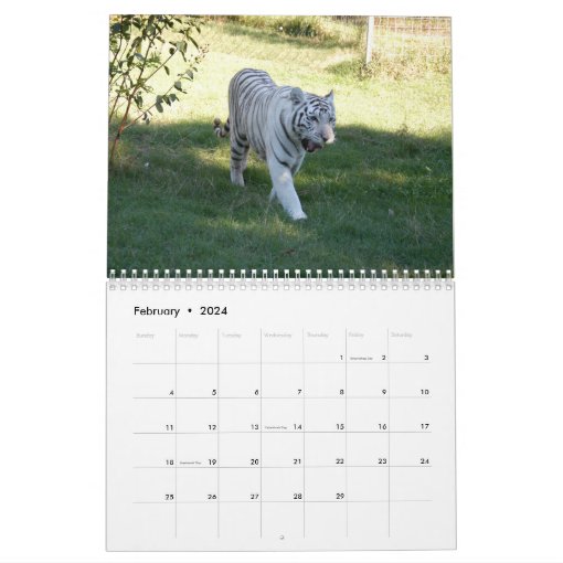 White Tigers Calendar, White Tigers Calendar Zazzle