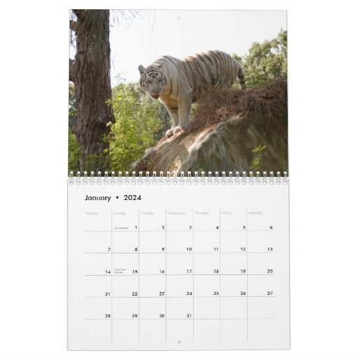 White Tigers Calendar, White Tigers Calendar Zazzle