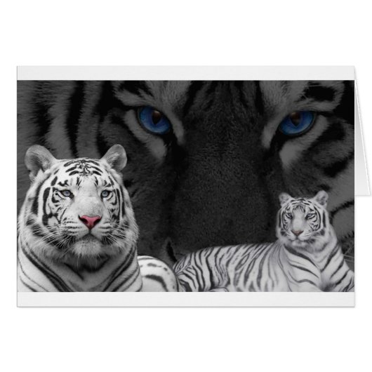 White Tigers Cards (Front Horizontal)