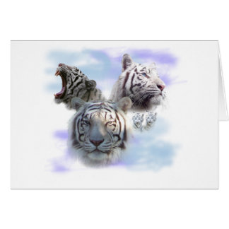 White Tigers Cards