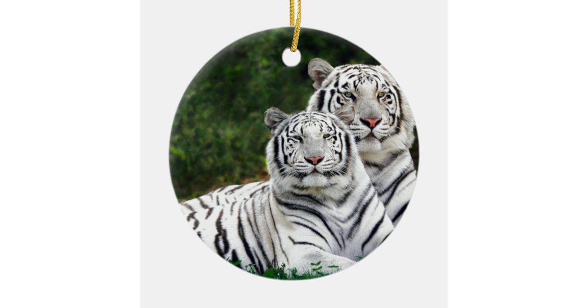 White Tigers Ceramic Ornament Zazzle